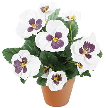 Closer2Nature, viola del pensiero finta con terriccio artificiale a vista