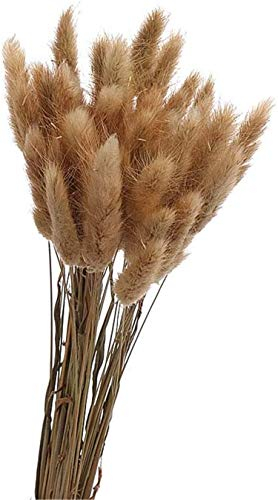 Yeehliny Pflanzenstiele, ländlicher Stil, Hasenschwanz Trockenblumen Deko ewig haltbar Pampasgras & getrocknete Blumen Pampasgras Trockenblumenstrauß Vase Deko,50 Stück (Natur)