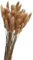 Yeehliny Pflanzenstiele, ländlicher Stil, Hasenschwanz Trockenblumen Deko ewig haltbar Pampasgras & getrocknete Blumen Pampasgras Trockenblumenstrauß Vase Deko,50 Stück (Natur)
