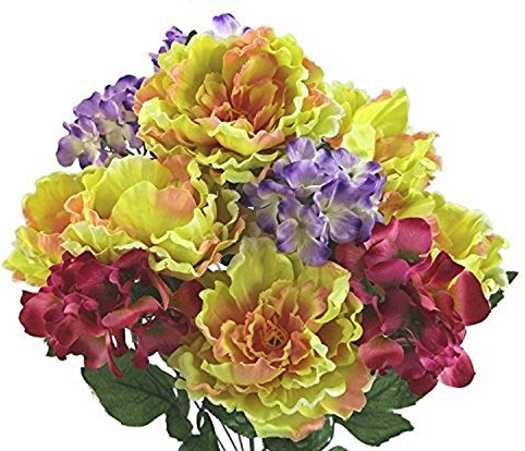 Admiré par la Nature Fleurs