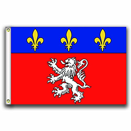 MCPACE Lyon Les Drapeaux Banner 3x5ft-90x150cm 100% Polyester,Utilisé à l'intérieur et à l'extérieur