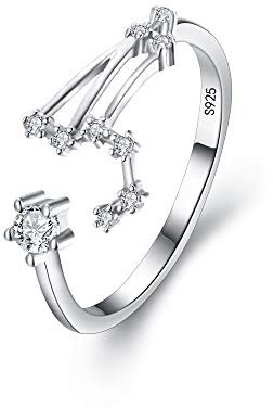 Clearine Damen Ring 925 Sterling Silber CZ Horoskop Tierkreis 12 Konstellation Astrologie Verstellbar Statement Geburtstagsgeschenk
