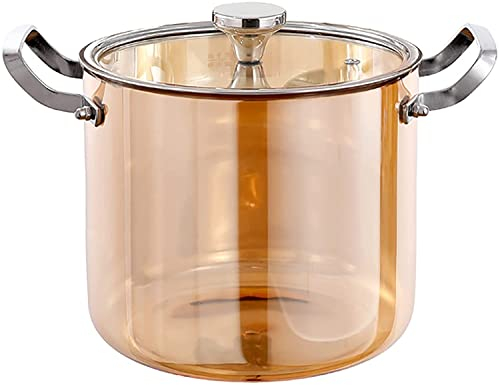 ROYAUX Durchsichtige Kochtöpfe, Glas, Suppentopf, Kasserolle, hitzebeständiger Kochtopf aus Borosilikatglas mit Deckel und Griff für Pasta-Topf, Kochgeschirr, 5,5 l (4,5 l)