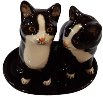 Salière et Poivrière en Céramique Chats, 12 x 9 cm, Vaisselle Décorative pour Cuisine/Maison (chat noir et blanc)