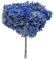 Ortensia STABILIZZATA | Vari Colori | 20x60 cm Bomboniera Allestimento Feste Cerimonie Fiori Fiore Vero (Blu)
