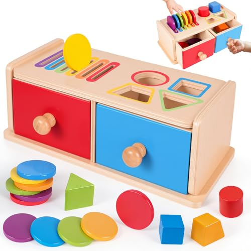 Montessori Spielzeug ab 1 Jahr, Spielzeug ab 1 2 Jahre Farbe Sortierspiel | Holzspielzeug ab 1 Jahr, Baby Spielzeug, Geschenk Mädchen Jungen 1 2 Jahre, Kinderspielzeug Steckspiel, Holz Motorikspielzeug