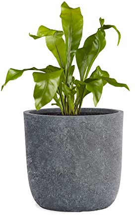 Pflanzwerk® Pflanzkübel Cup - Blumentöpfe Übertöpfe Ø34cm Lava ANTHRAZIT *Frostbeständige Blumenkübel* *UV-Schutz* *Pflanzenkübel Premiumqualität*