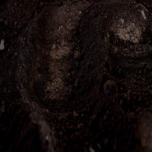 Pigment Oxyde De Fer Noir 1 Kg - Pour Peintures, Enduits Béton et Chaux - Poudre Colorante - Origine Europe