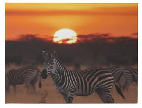 GRatka Wandkunstdrucke, Leinwandbild, 30 x 40 cm, dekoratives Gemälde, Wandkunst, Gemälde,Afrika Sonnenuntergang Zebra Druck