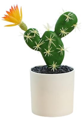 shjxi Faux Cactus, Fausses en Pot | Fausses succulentes décoratives pour intérieur, Bureau, Table, étagère, Petites artificielles pour décoration de Magasin