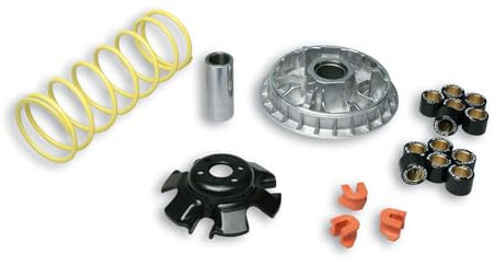 Malossi 5113892 Variateur pour Kymco KXR Sport – MXU 250 4T LC Multivar 2000