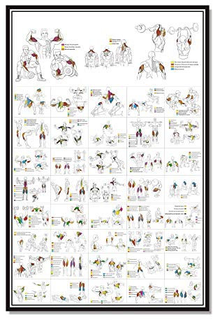 Ling88 Bilder,Poster,Kunstdrucke,Brust Hantel Workout Übung Poster ， Krafttraining Diagramm - Home Gym Gewichtheben Routine ， Bodybuilding Guide Guide Fitness Übung Wandbilder-40X60Cm
