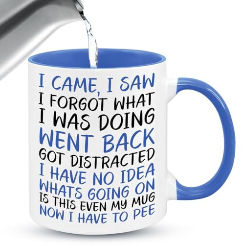 Vellivar Funny Mugs, I Came I Saw I Forgot Mug, Quirky Gifts for Women Funny Mugs for Men Novelty Mug Retirement Gifts Birthday Christmas Funny Gift Ceramic Coffee Mug Cup 350ml Blue