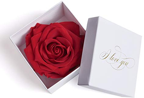 ROSEMARIE SCHULZ Infinity Baccarat Rose in Rot Konserviert Weiße Rosenbox mit Goldschrift I LOVE YOU Geschenk für Frauen und Freundin als Liebesbeweis (1 Rose, Weiß-Rot)