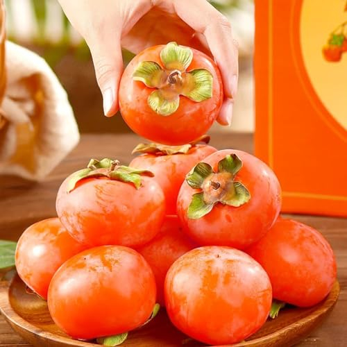 30 pcs kaki baum pflanze winterhart samen gartendeko für draußen kaki baum samen gartenpflanzen obstbaum kakibaum kaufen säulenobst garten deko pflanzen garten bio saatgut säulenobst