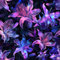 JIAOQSS Papier Peint Adhesif Mural Lys violet brillant noir Papier Adhésif Décoratif pour Meuble Papier Peint Chambre Enfant Salon Armoire Décorations
