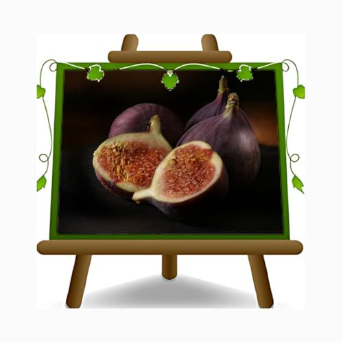 EURO PLANTS VIVAI Fico Colummaro Nero - Pianta da Frutto Antico su Vaso da 26 cm. - *Altezza: 180-200 cm. - Età 4 Anni