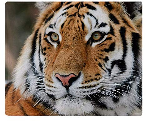 YISUMEI Decke Tiger Kuscheldecken Weich Flanell Fleecedecke Bettüberwurf(75x100cm)