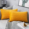 Yamonic Kissenbezüge Set Samt Soft Solid Dekorative Kissen Fall für Sofa Schlafzimmer 30cmx50cm 2er Pack für Couch Bett Sofa Stuhl Schlafzimmer Wohnzimmer, Gelb