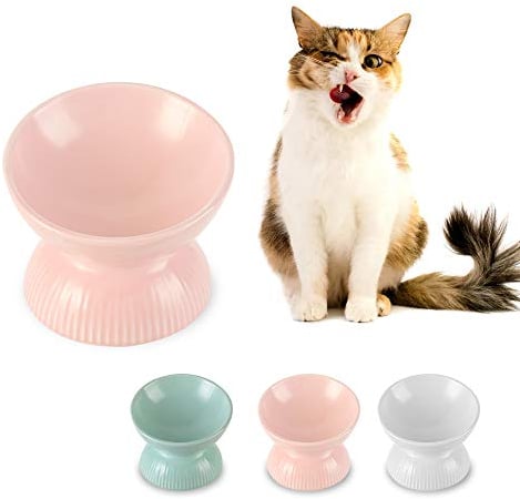 Katzennapf Erhöht aus Keramik - Geneigter Futternapf gegen Erbrechen für Kleine Katzen - 125 ml Fressnapf Katze - Durchmesser 12,5 cm