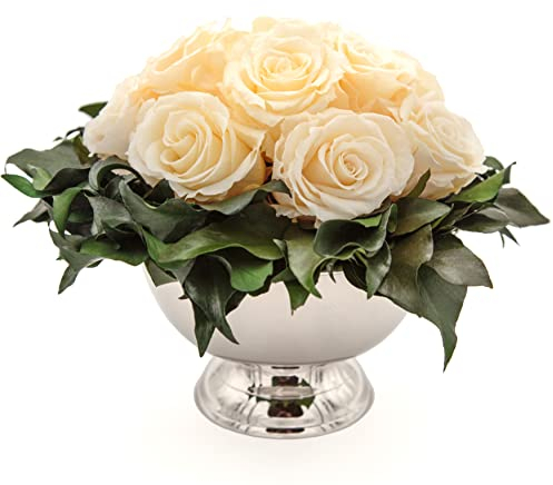 ROSEMARIE SCHULZ Heidelberg Infinity Blumen in silberfarbenen Becher ewige Rose konserviert Blumenstrauß langhaltend (Champagner, 11 Rosen)