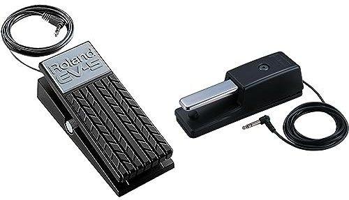 ROLAND Ev-5 Expression Pedal for Synths And Keyboards & Dp-10 Traditional Style Damper Pedal