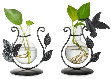 Glasseam Propagation Station, 2 Stück Hydrokultur Vase Schwarz für Terrarium Pflanzen, Blumenvase Modern Metall Gerahmt Vasen Deko, Kreative Dekovase Kleine Glasvasen für Tischdeko Wohnzimmer Büro