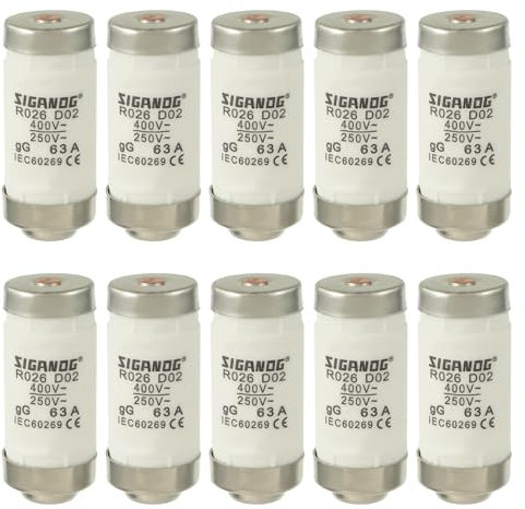 SIGANDG Neozed Sicherungen, D02 63A gL/gG 400VAC, D0-Typ Sicherungseinsatz (10 Stück)