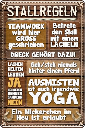 30 x 20 cm – Wetterfestes Pferdeschild, Pferd Deko Schild, Lustiger Spruch für Pferdebesitzer – Stallregeln