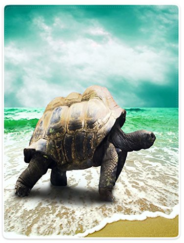 YISUMEI Decke 150x200 cm Kuscheldecken Sanft Flanell Weich Fleecedecke Bettüberwurf Schildkröte Meer Strand