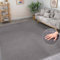 BEIMO Waschbarer Teppich Wohnzimmer Kurzflor Anti-Rutsch Unterseite Uni Modern Design Teppich Weich rutschfest für Esszimmer, Kinderzimmer und Schlafzimmer, Grau 80X150CM