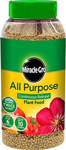 Miracle-Gro All Purpose Continuous Release Plant Food 1kg (3, 1 kg)