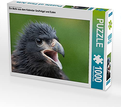 CALVENDO Puzzle EIN Motiv aus dem Kalender Greifvögel und Eulen | 1000 Teile Lege-Größe 64 x 48 cm Foto-Puzzle für glückliche Stunden