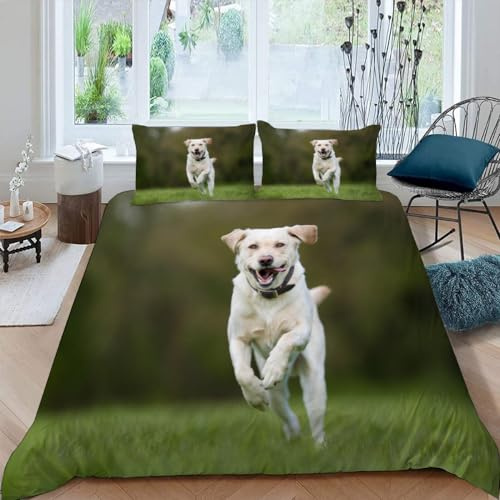 DILANI Hund Bettwäsche-Set 135x200cm Laufender Weißer Labrador-Hund 3D-Druck Weiche Mikrofaser 3 Teilig Bettbezüge mit Reißverschluss und 2 Kissenbezüge 80 x 80 cm für Erwachsene Kinder
