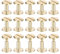 QUARKZMAN 20Pack Tornillos Chicago de Latón Poste de Tornillo de Cabeza Plana de 10x12mm para Sujetar Tachuelas de Remache de Cuero DIY