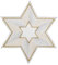 Plauener Spitze Deckchen Stern in verschiedenen Größen und Designs (20 cm ecru-silber-gold)