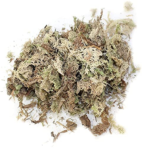 Yeehliny Sphagnum Moos Substrat Getrocknet, Wassermoos Trockenmoos Wasser Gras Substrate Für Orchidee Wassermoos Trockenmoos Wasser Gras Substrat Für Orchidee Phalaenopsis (12L)