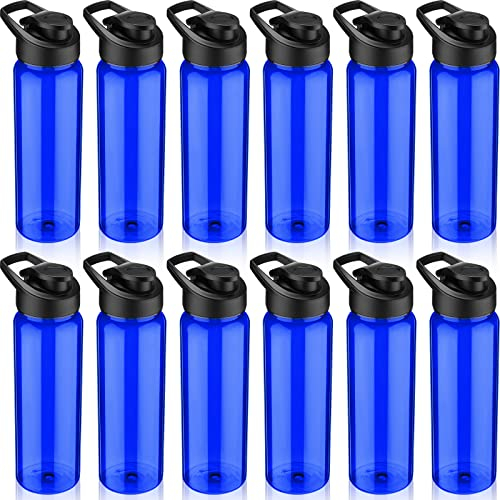 12 Pack Plastic Water Bottles 24 oz Blue Clear Water Bottles Bulk Reusable Sports Water Bottles with Spill Proof Lids for Gym Sports Home Office School