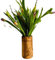 Vase Florentine aus Olivenholz