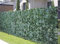 Floralcraft® Artificial English Ivy Privacy Screening Garden Fencing Hedge Roll (1m x 3m) - Realistic Greenery for Outdoor and Indoor Use