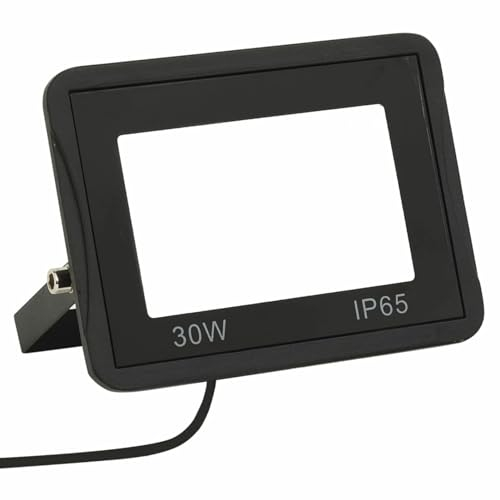 BaraSh Faretto a LED 30 W Bianco Freddo,Casa e Giardino,Illuminazione,Luci per Esterni ad Alta intensità(SPU:149618)