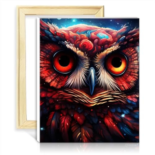 TANGFEIY Gemälde auf Leinwand, Eule, DIY, Acrylbild nach Zahlen für Anfänger, mit 3 Pinseln und Acrylfarben, Bilder für die Wanddekoration zu Hause, DIY-Rahmen (30 x 40 cm)