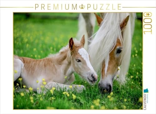 CALVENDO Puzzle Haflingerstute mit Fohlen | 1000 Teile Lege-Größe 64 x 48 cm Foto-Puzzle für glückliche Stunden