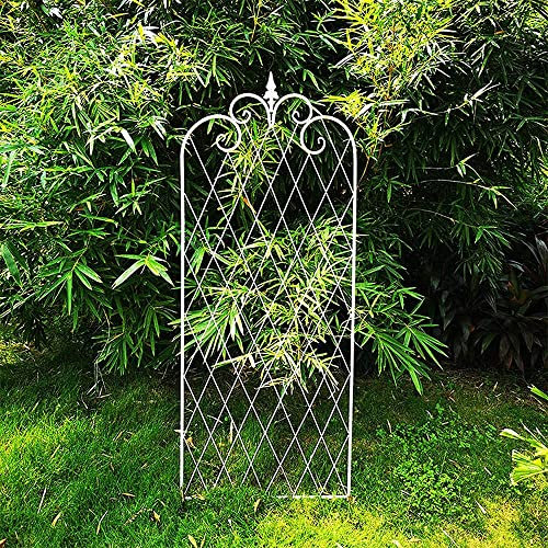 ksamwjf Gartengitter 59 x 23,6 Metallrahmen, Robustes, rostfreies Eisengitter für Topfpflanzen Stützgitter für Kletterpflanzen, für Gemüse Blumen Reben Kletterrosen