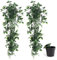 VFANDV Plantas Artificiales Colgantes 3 Piezas, Plantas Colgantes Hiedra Verde Artificial con Macetas Interior Plantas Artificiales Decorativas para Sala de Estar Balcón Jardín (Verde-2pcs)