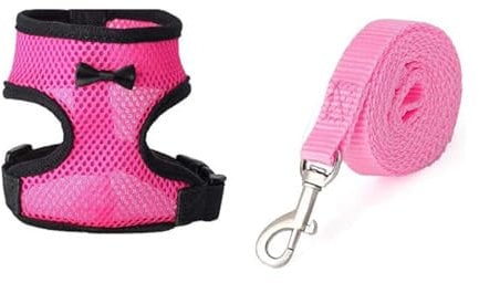 GXGM Harnais avec laisse réglable et respirant pour poules animaux domestiques canard oie promenade taille M rose