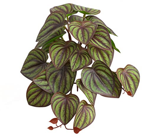 YPREWY Realistische Blätter Terrarium für Pflanzen für Bartagamen, Schildkröten, Baumfrösche, Mehrfach