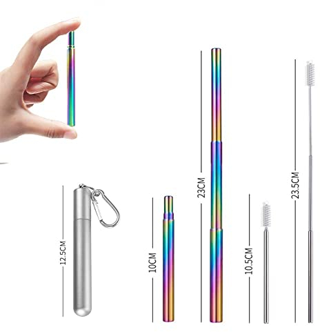 APIKA Pailles télescopiques réutilisables - Pailles à Boire Portables en Acier Inoxydable avec Brosse de Nettoyage, étui et Mousqueton(argenté+Paille Arc-en-Ciel)