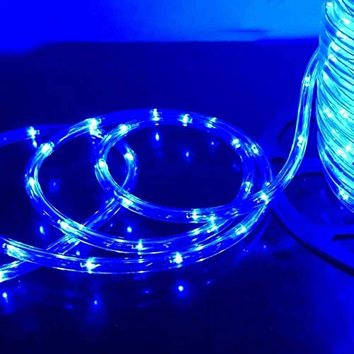 Lospitch 20m LED Lichtschlauch Außen IP20 Lichterschlauch Blau 480 LED Schlauch, Schwarz Controller mit Memory-Funktion für Deko, Party, Feier, Hochzeit, Garten