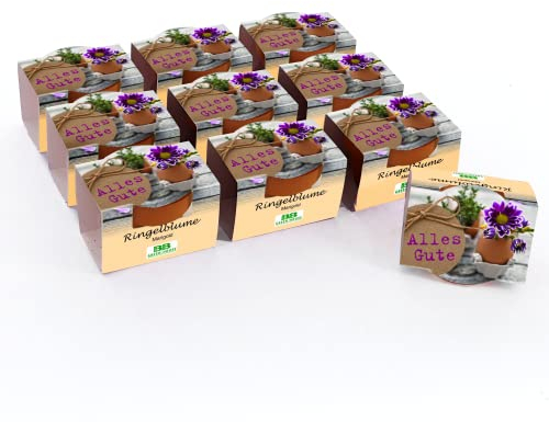 Bull & Bear 10er Set Mini Pflanzset 'Alles Gute' Ringelblume Marigold Blumen Samen, 10 Tontöpfchen mit Blumensamen und Pflanzsubstrat